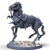 Black Horse - No Rider