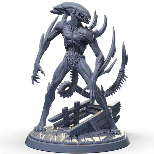 Adult Voraxthid