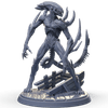 Adult Voraxthid