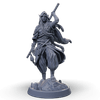 The Wanderer