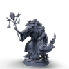 Plague Priest
