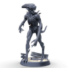 Malformed Voraxthid